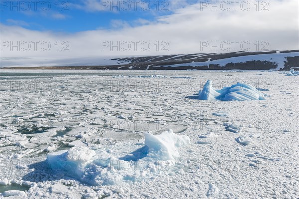 Palanderbukta