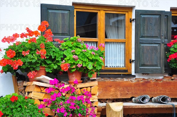 Flower windows