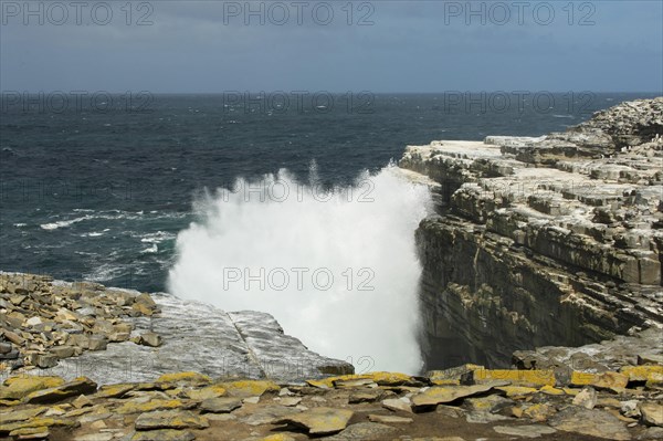 Sealion Island