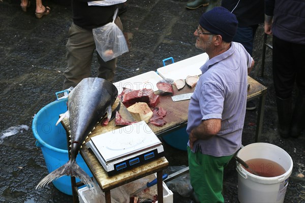 Catania Fish Market