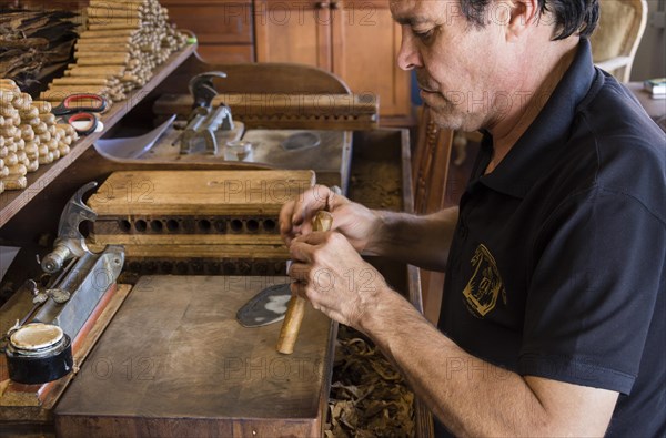 Cigar factory