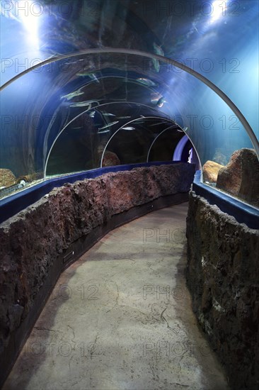 Fish tunnel in the Sylt Aquarium
