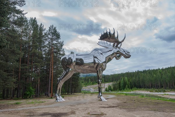 Silver moose