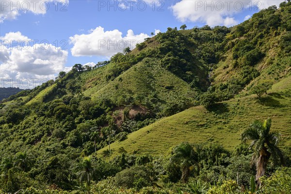 Landscape near Pedro Sanchez