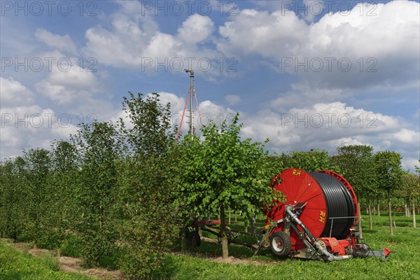 Hose cart in tree nursery