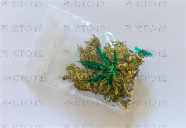 Cannabis