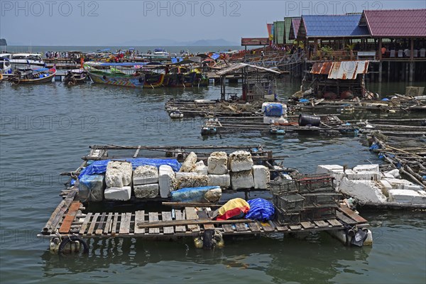 Caging facilities for live fish