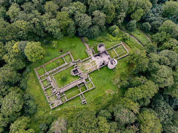 St. Michael's Monastery Ruins on the Heiligenberg