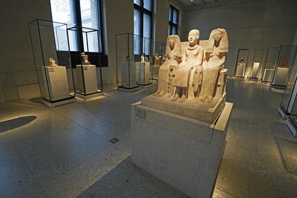 Showcases and exhibits