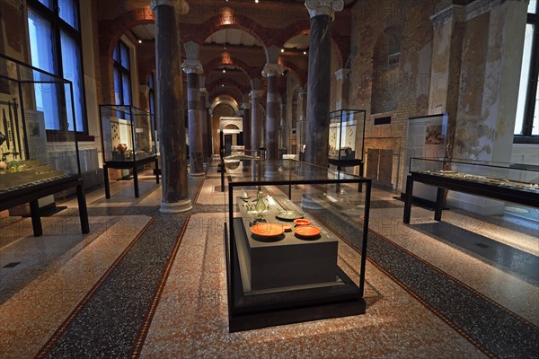 Exhibits and showcases