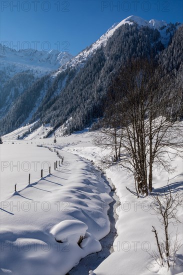 Winter landscape