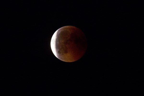 Blood Moon