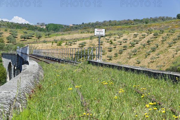 Old railway bridge