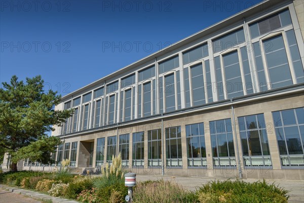 Large sports hall