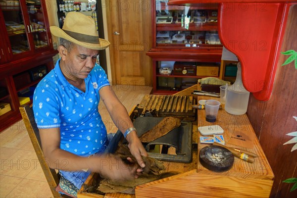 Cigar rolling