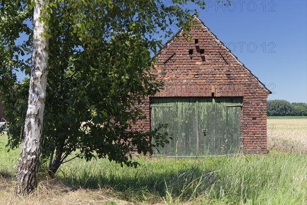 Storage shed