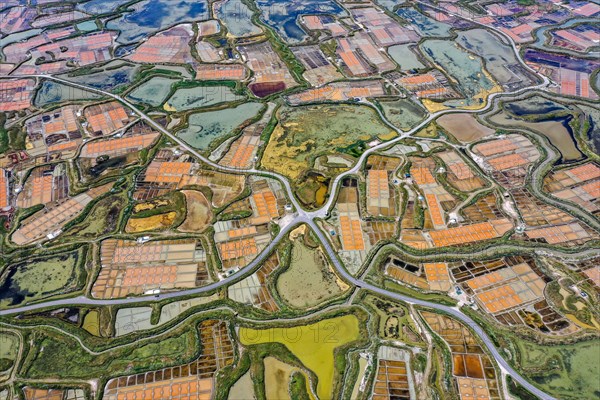 Aerial view of the salt marshes