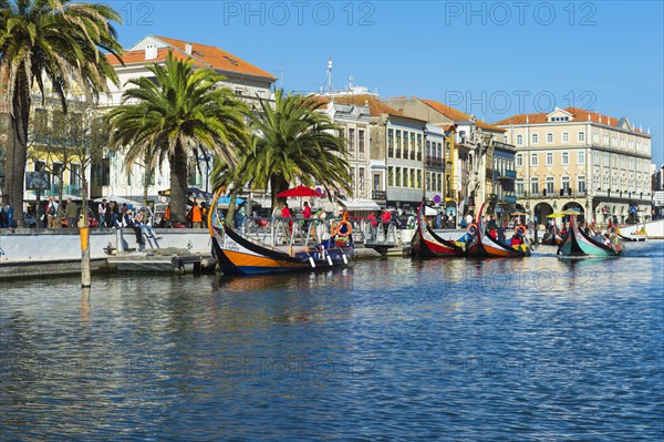 Moliceiros moored along the main canal