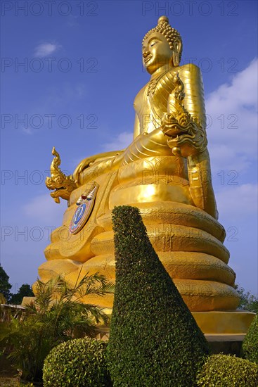 Golden Buddha Statue