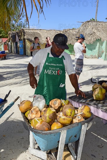 Coconut sale