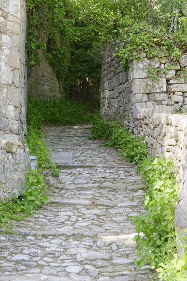 Cobbled way