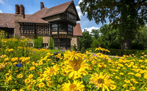 Cecilienhof Palace in the New Garden in Potsdam