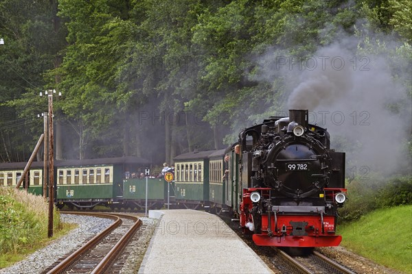 Narrow-gauge railway Rasender Roland