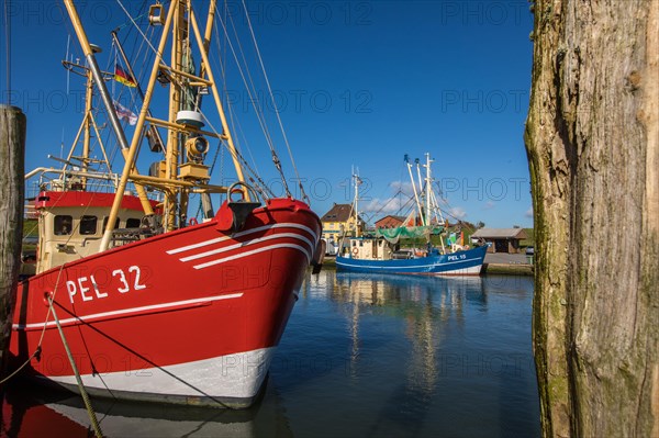 Fishing boats