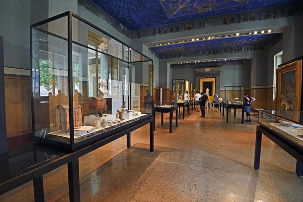 Showcases and exhibits