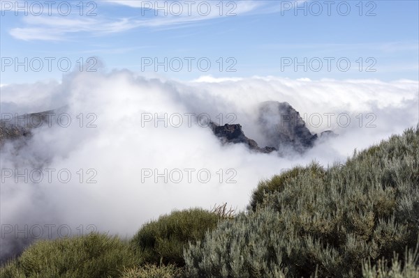 Clouds in Caldera de Taburiente