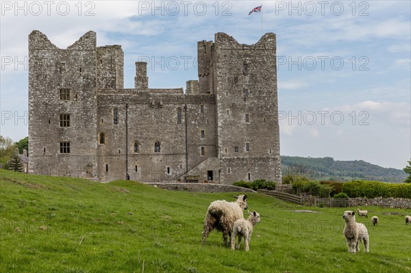 Bolton Castle