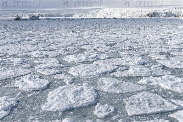 Palanderbukta Bay