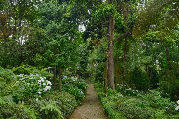 Monte Palace Tropical Garden