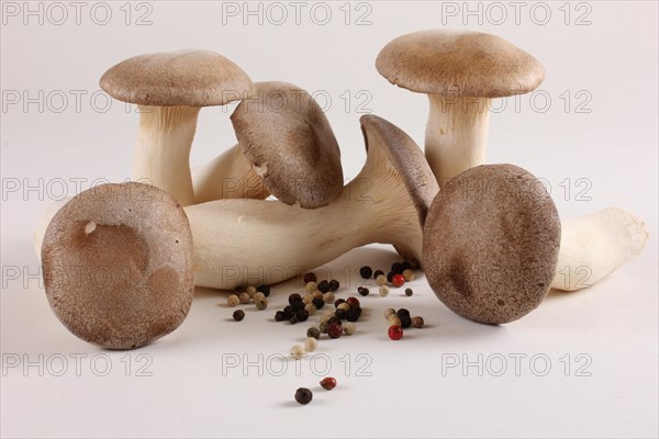 King trumpet mushrooms (Pleurotus eryngii) and peppercorns