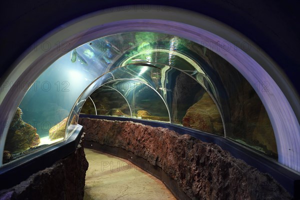 Fish tunnel in the Sylt Aquarium