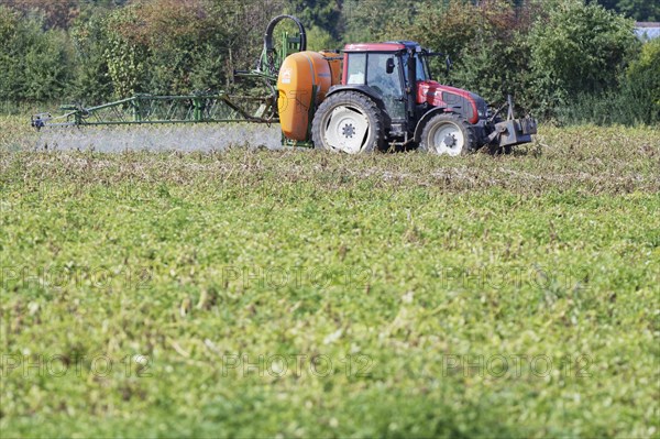 Farmer spraying pesticides