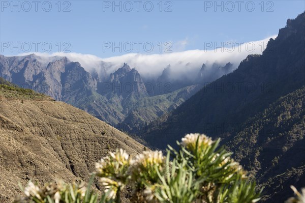 Barranco de las Angustias