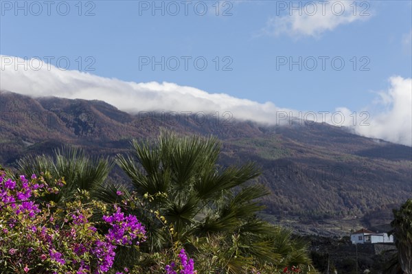 Clouds over Cumbre vieja