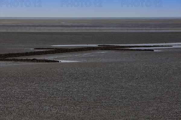 Wadden Sea National Park at low tide