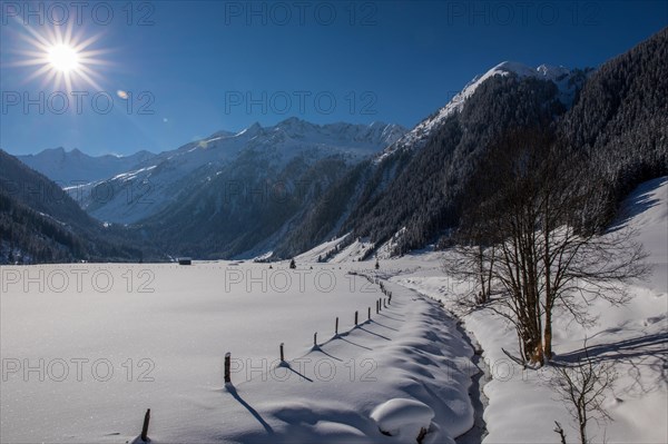 Winter landscape