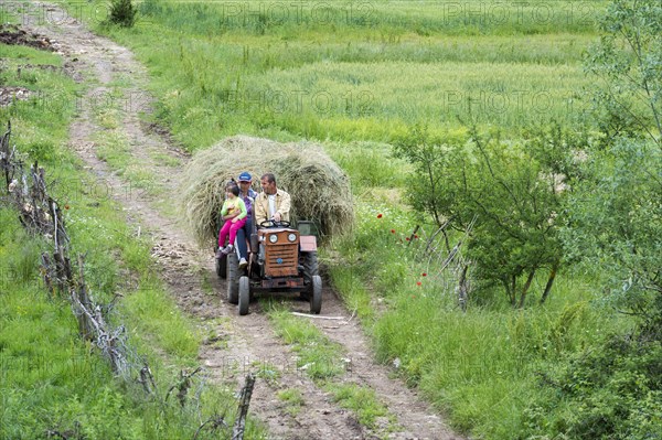 Rural scene