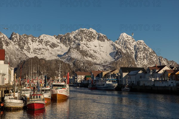 Henningsvaer