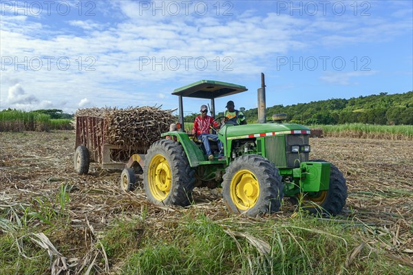 Tractor