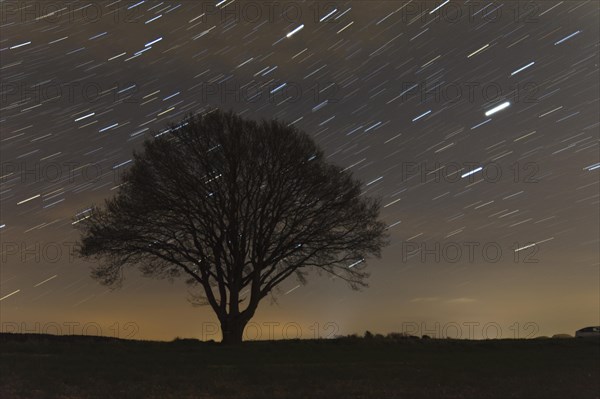 Startrails