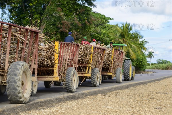 Tractor