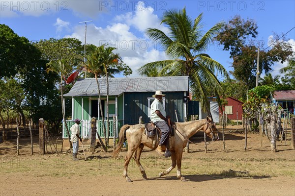 Batey Peligro