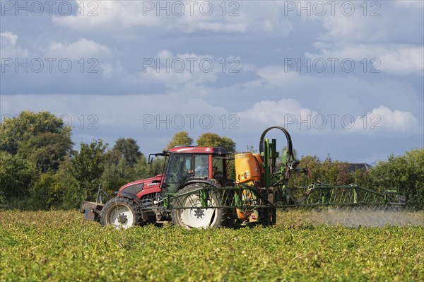 Farmer spraying pesticides