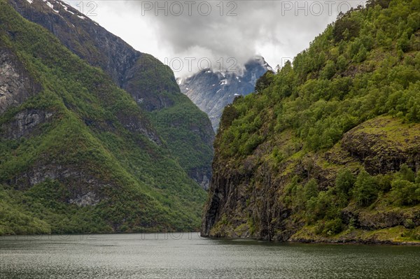 Naeroyfjord