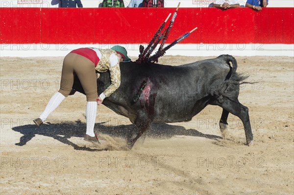 Bullfight in Alcochete