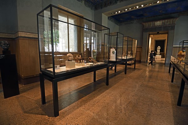 Showcases and exhibits